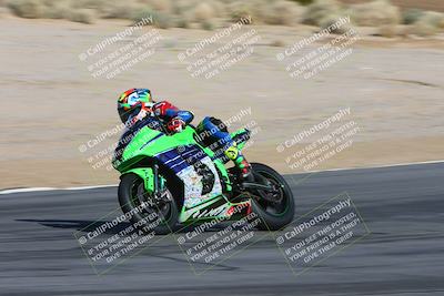 media/Feb-04-2024-SoCal Trackdays (Sun) [[91d6515b1d]]/4-Bowl Backside (11am)/